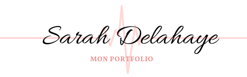 Portfolio Informatique